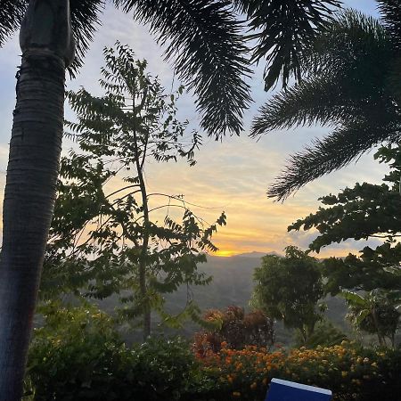 La Laguna de San Carlos Hawk'S Nest Bed & Breakfast المظهر الخارجي الصورة