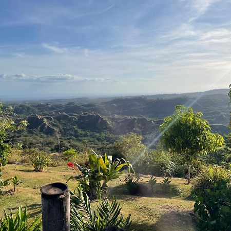 مبيت وإفطار La Laguna de San Carlos Hawk'S Nest Bed & Breakfast المظهر الخارجي الصورة