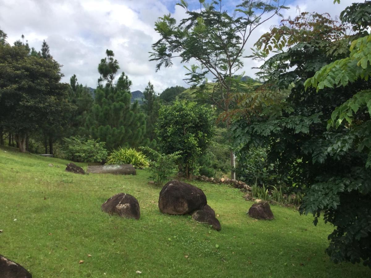 مبيت وإفطار La Laguna de San Carlos Hawk'S Nest Bed & Breakfast المظهر الخارجي الصورة