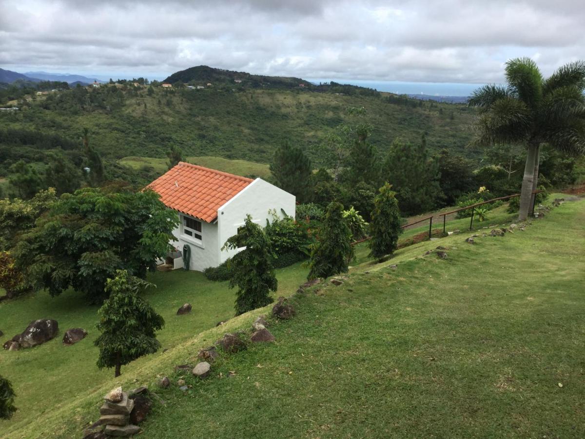 مبيت وإفطار La Laguna de San Carlos Hawk'S Nest Bed & Breakfast المظهر الخارجي الصورة