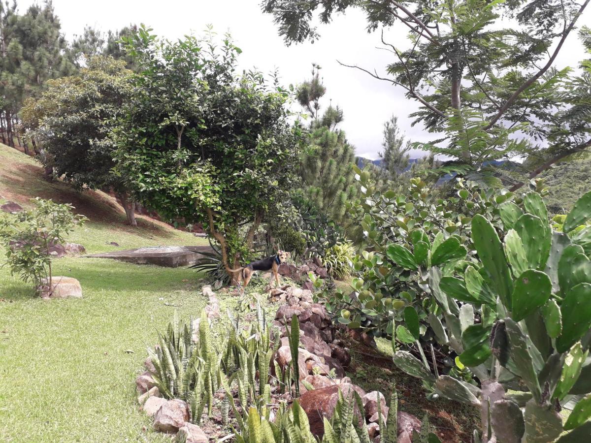 La Laguna de San Carlos Hawk'S Nest Bed & Breakfast المظهر الخارجي الصورة