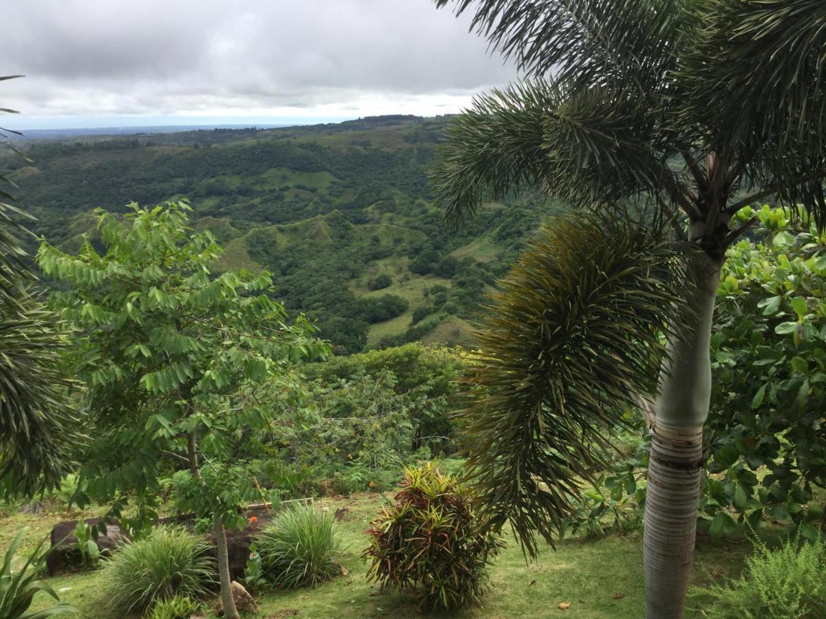 مبيت وإفطار La Laguna de San Carlos Hawk'S Nest Bed & Breakfast المظهر الخارجي الصورة