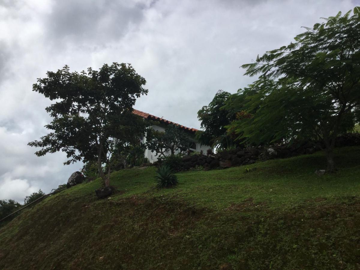 La Laguna de San Carlos Hawk'S Nest Bed & Breakfast المظهر الخارجي الصورة