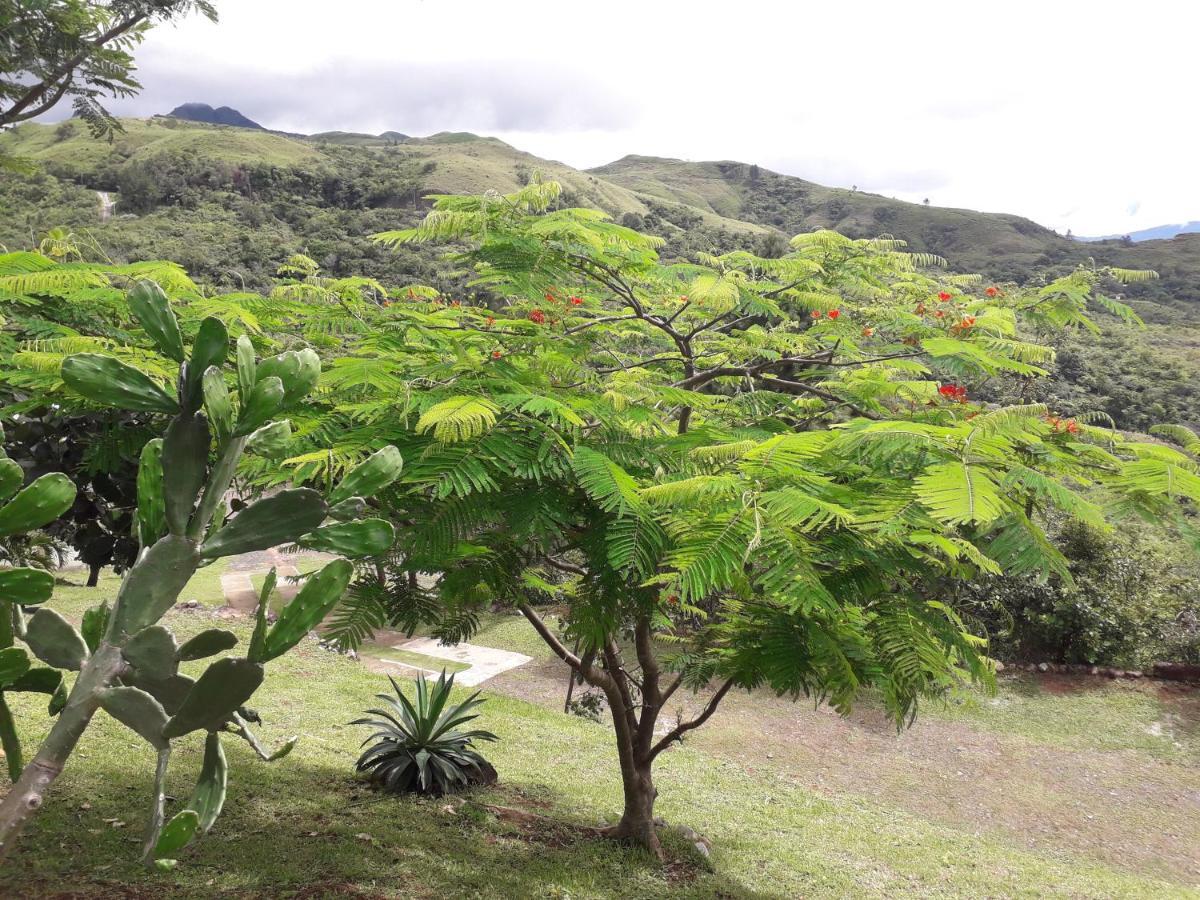 مبيت وإفطار La Laguna de San Carlos Hawk'S Nest Bed & Breakfast المظهر الخارجي الصورة