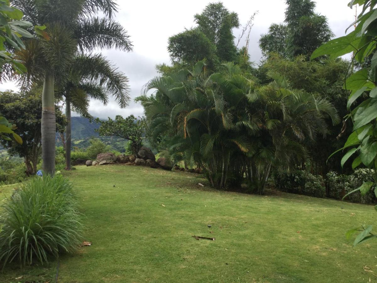 La Laguna de San Carlos Hawk'S Nest Bed & Breakfast المظهر الخارجي الصورة