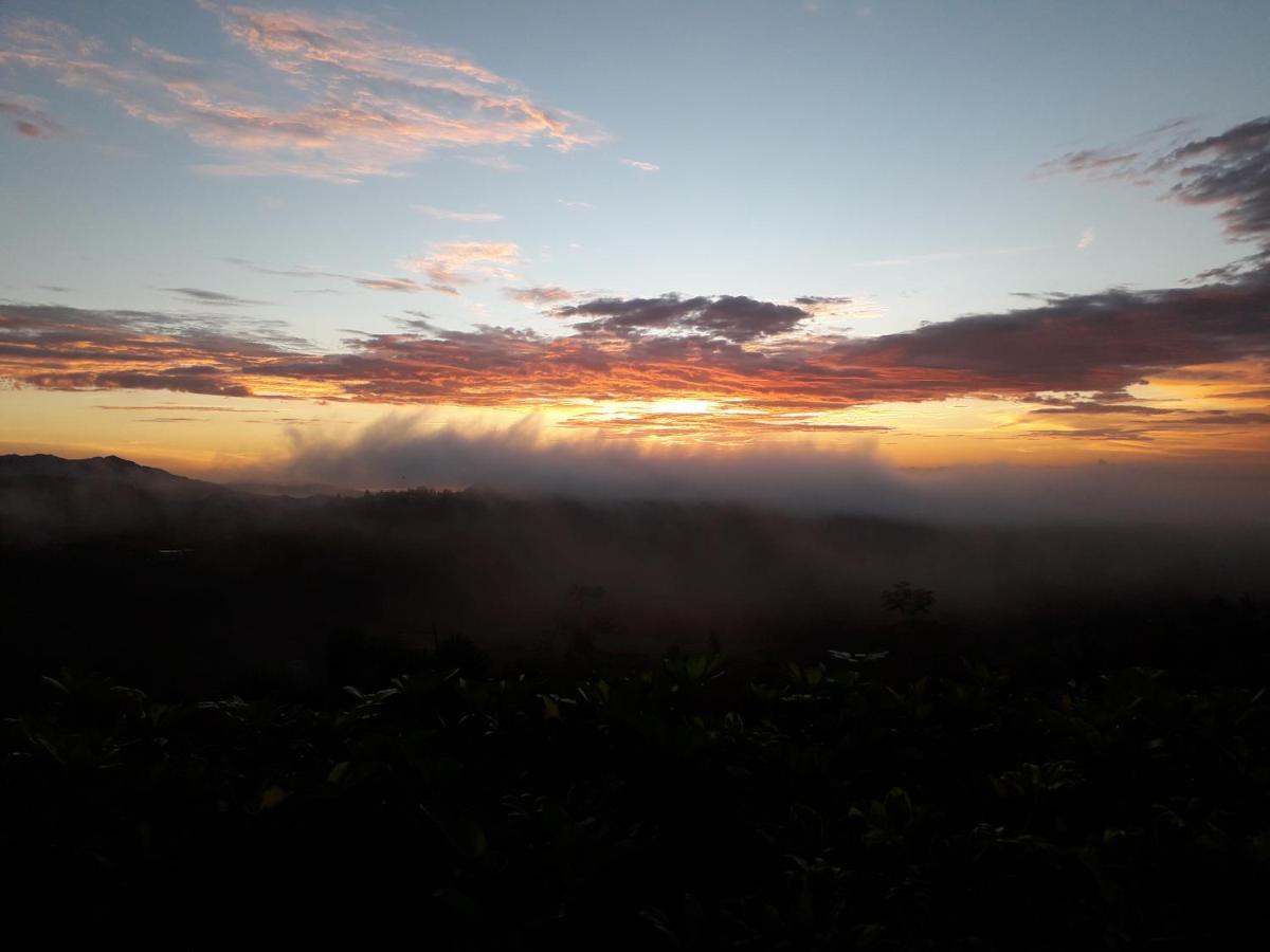 La Laguna de San Carlos Hawk'S Nest Bed & Breakfast المظهر الخارجي الصورة