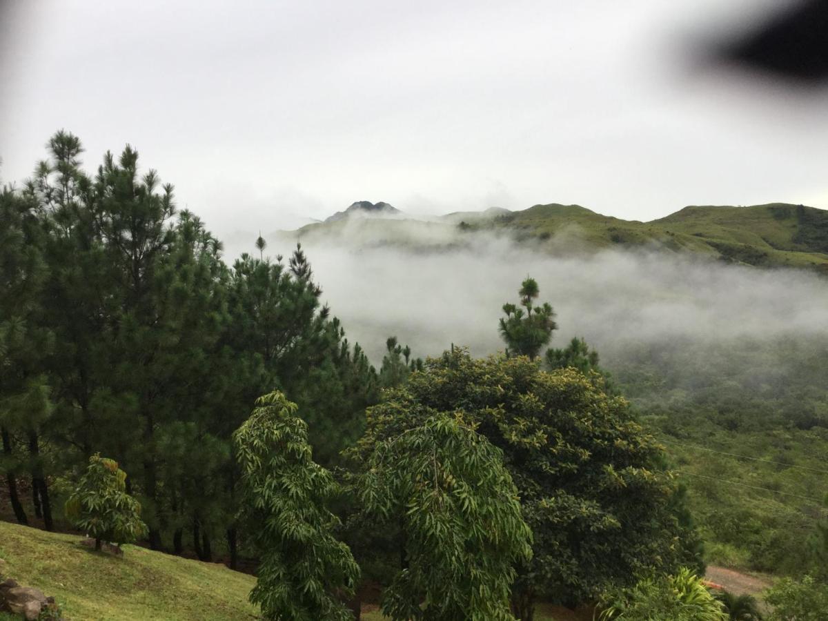 La Laguna de San Carlos Hawk'S Nest Bed & Breakfast المظهر الخارجي الصورة