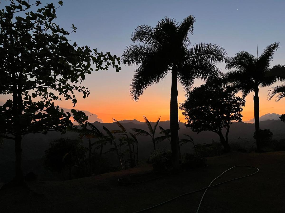 La Laguna de San Carlos Hawk'S Nest Bed & Breakfast المظهر الخارجي الصورة