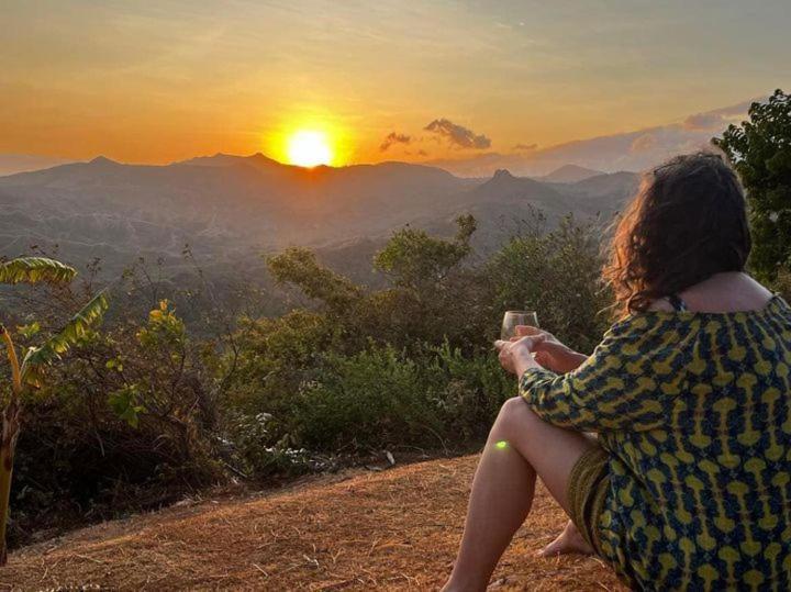 La Laguna de San Carlos Hawk'S Nest Bed & Breakfast المظهر الخارجي الصورة