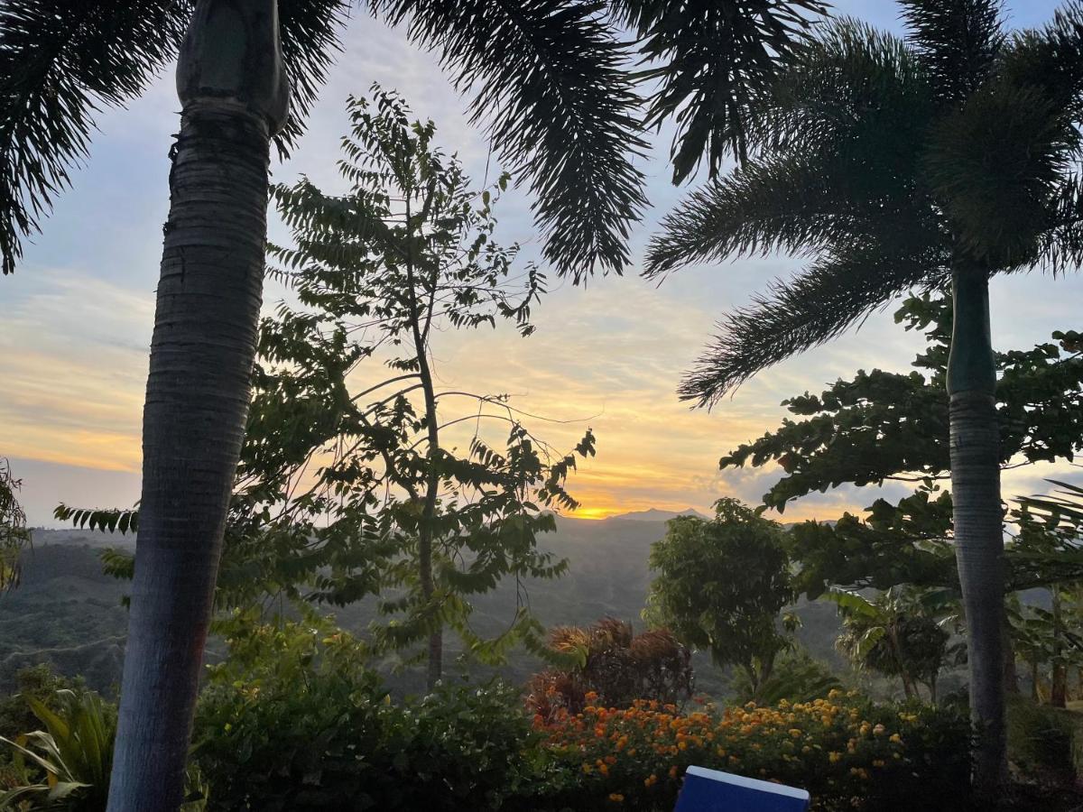 La Laguna de San Carlos Hawk'S Nest Bed & Breakfast المظهر الخارجي الصورة