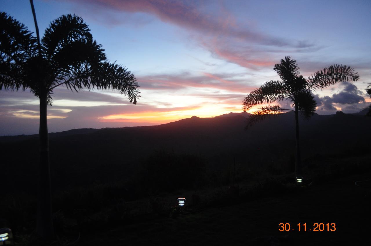 La Laguna de San Carlos Hawk'S Nest Bed & Breakfast المظهر الخارجي الصورة