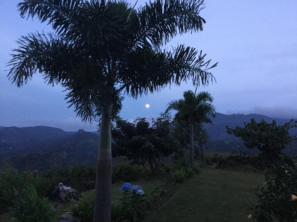 La Laguna de San Carlos Hawk'S Nest Bed & Breakfast المظهر الخارجي الصورة