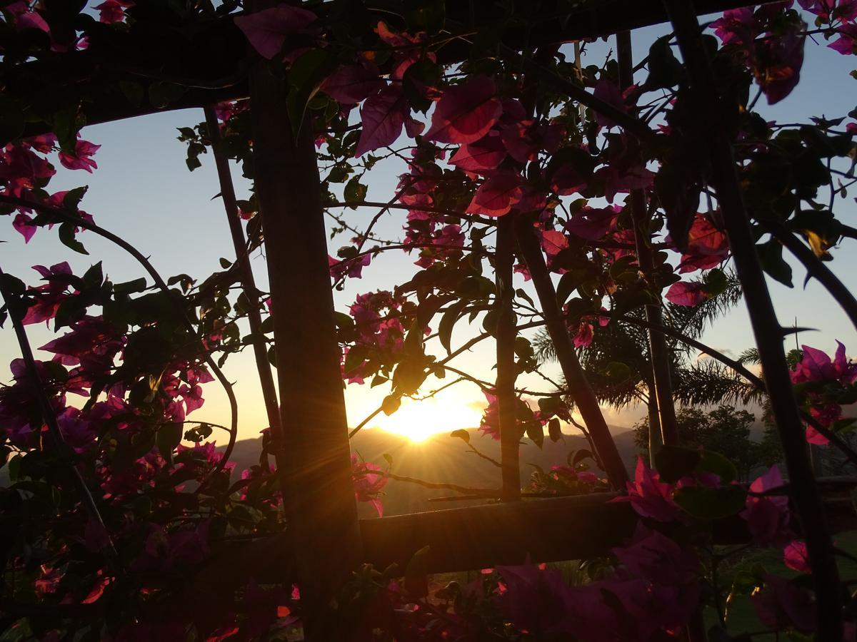 La Laguna de San Carlos Hawk'S Nest Bed & Breakfast المظهر الخارجي الصورة