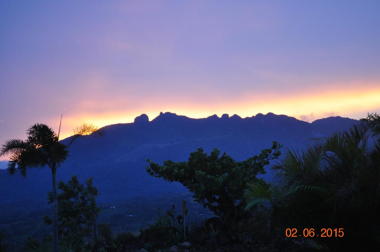 مبيت وإفطار La Laguna de San Carlos Hawk'S Nest Bed & Breakfast المظهر الخارجي الصورة