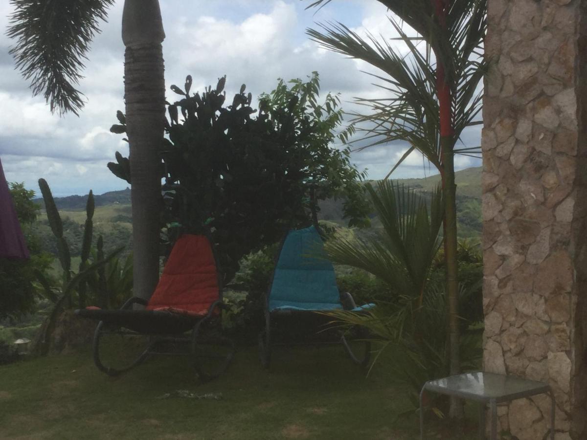 La Laguna de San Carlos Hawk'S Nest Bed & Breakfast المظهر الخارجي الصورة