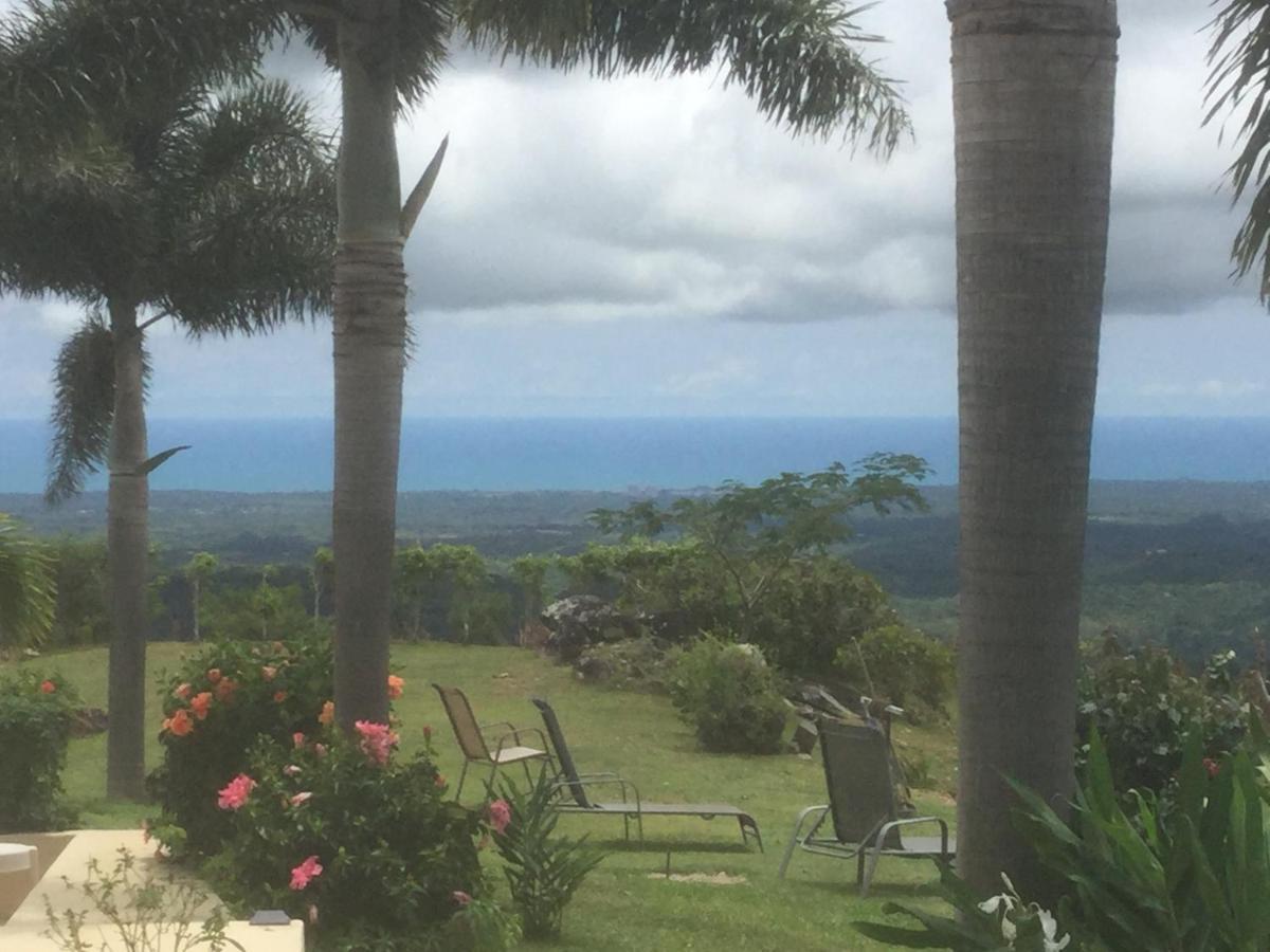 La Laguna de San Carlos Hawk'S Nest Bed & Breakfast المظهر الخارجي الصورة