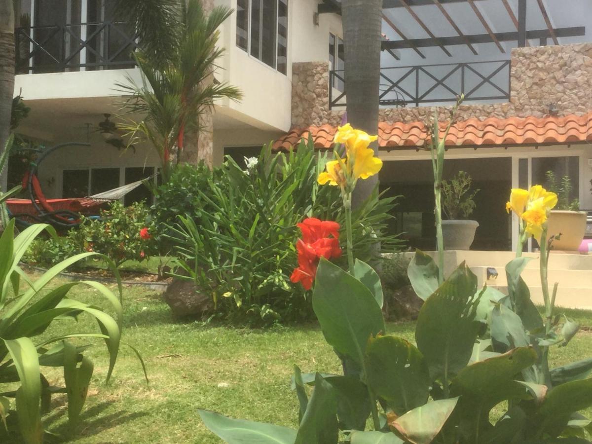 La Laguna de San Carlos Hawk'S Nest Bed & Breakfast المظهر الخارجي الصورة