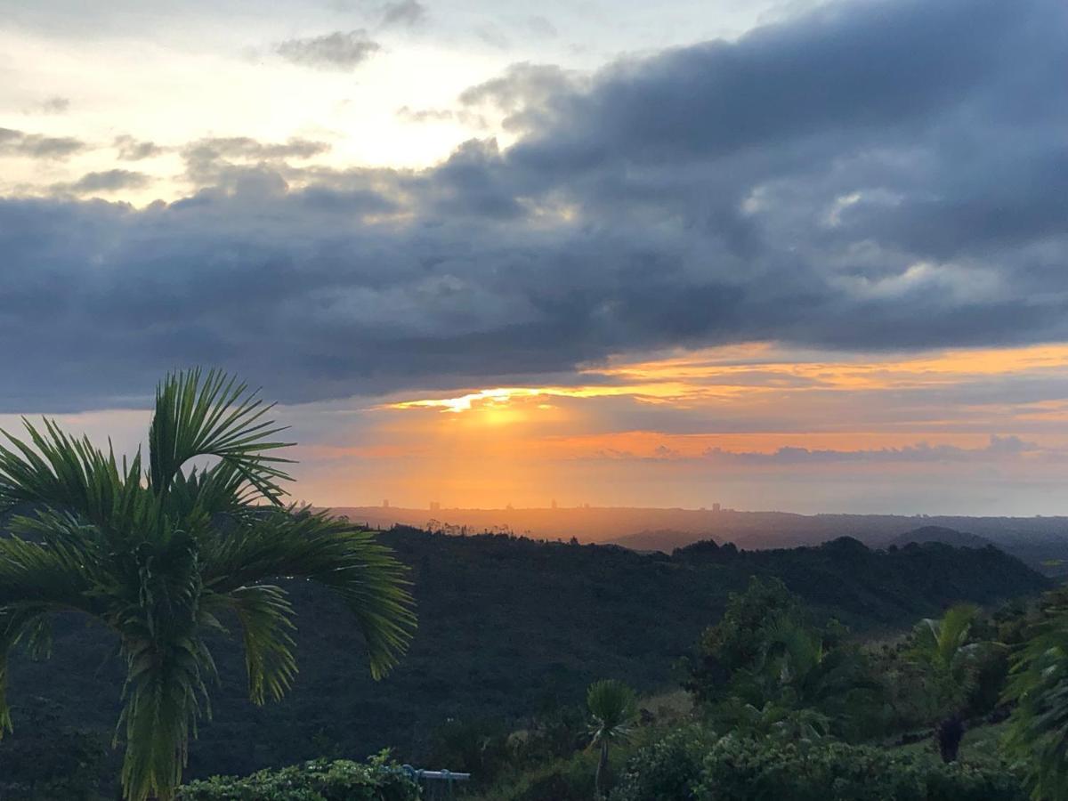 La Laguna de San Carlos Hawk'S Nest Bed & Breakfast المظهر الخارجي الصورة